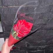 せら お花のプレゼント！ 宮崎SANSAIN