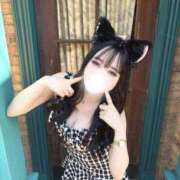 ヒメ日記 2026/02/01 13:29 投稿 ねこ JAPAN CLUB BUNNY LOUNGE