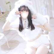 ヒメ日記 2026/02/04 21:01 投稿 ねこ JAPAN CLUB BUNNY LOUNGE