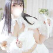 ヒメ日記 2026/02/10 17:23 投稿 ねこ JAPAN CLUB BUNNY LOUNGE