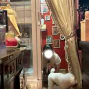 まいか 出勤〜犬のボス〜 渋谷くいーんず