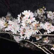 ヒメ日記 2026/04/05 14:13 投稿 まいか 渋谷くいーんず