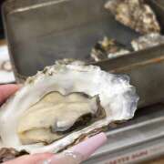 ヒメ日記 2026/04/02 18:22 投稿 うみ 神田はっち