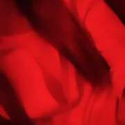 ヒメ日記 2026/06/20 01:25 投稿 うみ 神田はっち