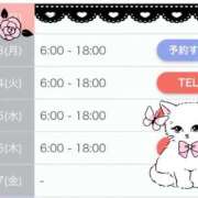 ヒメ日記 2026/02/20 21:38 投稿 りりか 東京妻