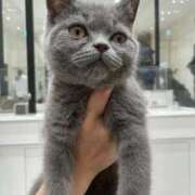 ヒメ日記 2026/01/30 16:13 投稿 ミレア LOVEキタ兎我野店