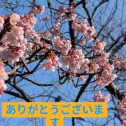 ヒメ日記 2026/02/15 12:06 投稿 杉下 新宿人妻城