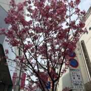 ヒメ日記 2026/03/29 16:06 投稿 かほ　初心者特進クラス AROMA FACE NAKASU