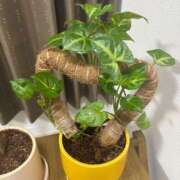 ヒメ日記 2026/02/24 19:21 投稿 わかな 恋愛生欲情の扉