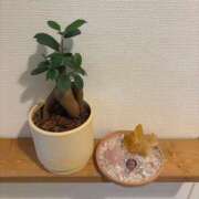 ヒメ日記 2026/03/02 18:39 投稿 わかな 恋愛生欲情の扉