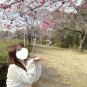 さく 明日は会えるかな？🐰 かりんと赤坂