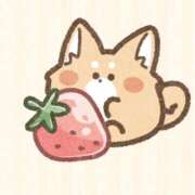 ヒメ日記 2026/02/11 21:59 投稿 ナノカ MEGA PALACE(メガパレス）