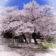 永倉文乃 出勤してまーす(^^) 五十路マダム 博多店