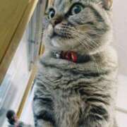 ヒメ日記 2026/04/16 13:17 投稿 永倉文乃 五十路マダム 博多店