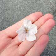 ヒメ日記 2026/03/28 18:21 投稿 あい 治療院.LOVE小山店