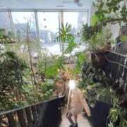 ヒメ日記 2026/02/18 16:20 投稿 早乙女さち ウルトラロイヤル