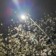 ヒメ日記 2026/03/31 15:18 投稿 早乙女さち ウルトラロイヤル