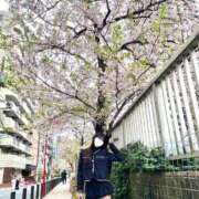 ヒメ日記 2026/04/06 15:18 投稿 早乙女さち ウルトラロイヤル