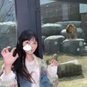 ヒメ日記 2026/05/01 12:18 投稿 早乙女さち ウルトラロイヤル