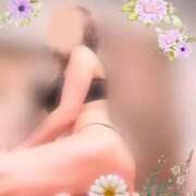 ヒメ日記 2026/02/06 22:14 投稿 すみれ 出会い系人妻ネットワーク 春日部〜岩槻編