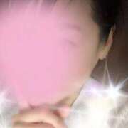 ヒメ日記 2026/02/16 09:44 投稿 すみれ 出会い系人妻ネットワーク 春日部〜岩槻編