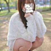 ヒメ日記 2026/02/12 13:38 投稿 にじ 葛西コスプレメイド学園（シンデレラグループ）