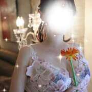 ヒメ日記 2026/02/17 17:50 投稿 森 かおり キングアンドクイーン