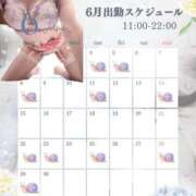 ヒメ日記 2026/06/01 19:04 投稿 森 かおり キングアンドクイーン