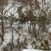 ヒメ日記 2026/02/08 14:15 投稿 島田 ゆりこ ベストマダム