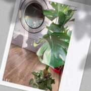 ヒメ日記 2026/02/18 09:15 投稿 島田 ゆりこ ベストマダム