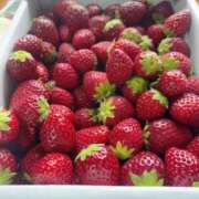 ヒメ日記 2026/03/02 14:28 投稿 島田 ゆりこ ベストマダム