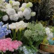 ヒメ日記 2026/03/07 14:55 投稿 島田 ゆりこ ベストマダム