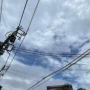 ヒメ日記 2026/03/19 12:45 投稿 島田 ゆりこ ベストマダム