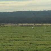 ヒメ日記 2026/04/22 21:57 投稿 島田 ゆりこ ベストマダム