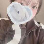 ヒメ日記 2026/01/27 01:43 投稿 ねむ（完全未経験！激カワキス魔 ハニービー（Honey Bee）