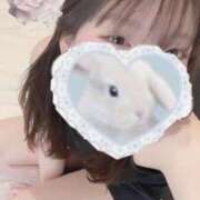 ヒメ日記 2026/01/29 08:43 投稿 ねむ（完全未経験！激カワキス魔 ハニービー（Honey Bee）