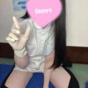 ヒメ日記 2026/02/17 12:03 投稿 ふうか 横浜しこたまクリニック