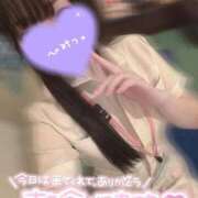 ヒメ日記 2026/02/25 00:53 投稿 ふうか 横浜しこたまクリニック