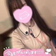 ヒメ日記 2026/04/22 11:33 投稿 ふうか 横浜しこたまクリニック