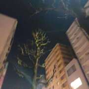 ヒメ日記 2026/02/16 23:36 投稿 いつき 熟女総本店 日本橋ミナミエリア店