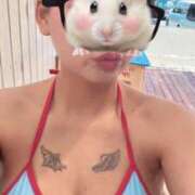 ヒメ日記 2026/01/30 19:17 投稿 セレナ きらめけ！にゃんにゃん学園in大宮