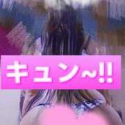 セレナ 滅滅滅 きらめけ！にゃんにゃん学園in大宮