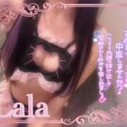 ヒメ日記 2026/05/04 16:36 投稿 らら 155