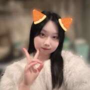 ヒメ日記 2026/02/10 20:22 投稿 つみき パイの巣