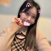 ヒメ日記 2026/02/11 11:21 投稿 つみき パイの巣