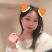 ヒメ日記 2026/02/14 18:05 投稿 つみき パイの巣