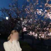 ヒメ日記 2026/02/12 03:00 投稿 ゆり クラブ バレンタイン大阪