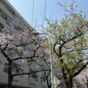 W坂口まりの 春ー！🌸 ウルトラハピネス