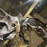 Wはづき 1/16‪‪❤︎‬ ウルトラハピネス