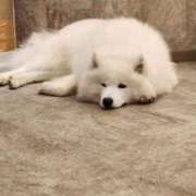 ヒメ日記 2026/03/23 14:45 投稿 一条くれな（いちじょう くれな） 桃色奥様(佐賀)